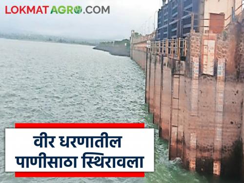 Water storage in Veer Dam is now stable; discharge through sewage completely stopped | वीर धरणातील पाणीसाठा आता स्थिर; सांडव्याद्वारे होणारा विसर्ग पूर्णपणे बंद