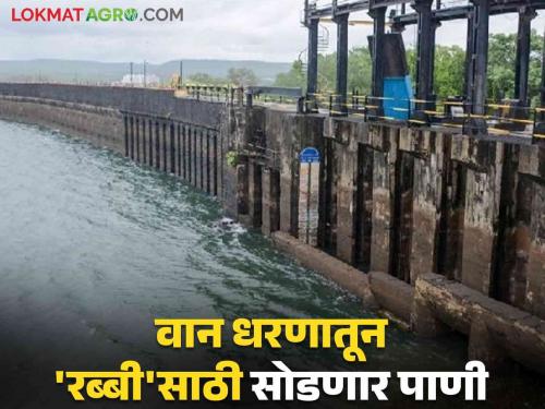 Van Dam Water Release Update: Enthusiasm Among Farmers; 40 Dalghmi water will be released from Van Dam for 'Rabbi'! | Van Dam Water Release update : शेतकऱ्यांमध्ये उत्साह; वान धरणातून 'रब्बी'साठी ४० दलघमी पाणी सोडणार!