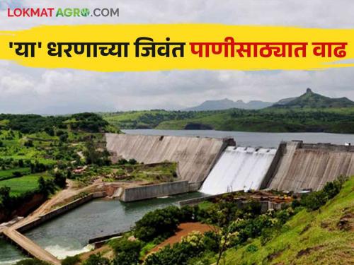 Maharashtra Dam Storage Update Know how much water has increased in the state's dam storage | Maharashtra Dam Storage Update जाणून घ्या राज्यातील धरणसाठ्याच्या पाण्यात किती झालीये वाढ