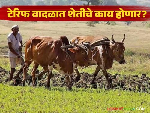 The flow of free trade agreements is currently gaining momentum; What will happen to Indian agriculture in the US tariff storm? | मुक्त व्यापार कराराचा प्रवाह सध्या धरतोय जोर; अमेरिकेच्या टेरिफ वादळात भारतीय शेतीचे काय होणार?