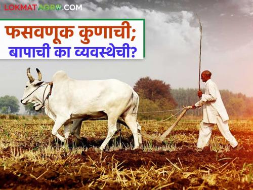 Is the farmers being robbed by the farmers themselves? The suffering of the agricultural land, desperate before the system | शेतकऱ्यांना लुटतोय शेतकऱ्यांचाच लेक? व्यवस्थेच्या पुढे हतबल शेतीमातीतील व्यथा 