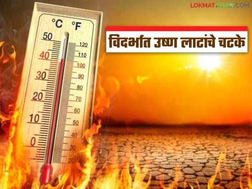 Akola records highest temperature in the state at 45 degrees; Heat wave hits Vidarbha | अकोला राज्यात सर्वांत उष्ण पारा ४५ अंशांवर; विदर्भात बसताहेत उष्ण लाटांचे चटके