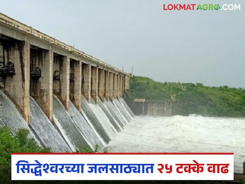 Siddheshwar's water storage increased by 25 percent in four days; Live water storage level reached 51 percent | चार दिवसांत सिद्धेश्वरच्या जलसाठ्यात २५ टक्के वाढ; जिवंत पाणीसाठ्याची पातळी पोहोचली ५१ टक्क्यांवर