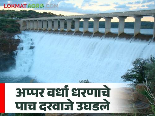 Due to heavy rains, water storage in projects in Western Vidarbha is 80.67 percent this year; Water released from 23 irrigation projects | जोरदार पावसामुळे पश्चिम विदर्भातील प्रकल्पांमध्ये यंदा ८०.६७ टक्के जलसाठा; २३ सिंचन प्रकल्पांतून पाण्याचा विसर्ग