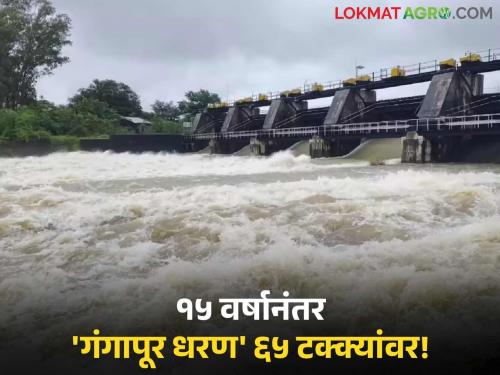 Nashik's Gangapur Dam at 65 percent after 15 years; Discharge is also happening towards Jayakwadi | नाशिकचे गंगापूर धरण १५ वर्षानंतर ६५ टक्क्यांवर; जायकवाडीकडे देखील होतोय विसर्ग
