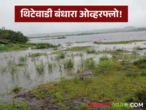 Thitewadi dam, a boon to West Shirur, filled; Read in detail | पश्चिम शिरूरला वरदान ठरणारा थिटेवाडी बंधारा भरला; वाचा सविस्तर