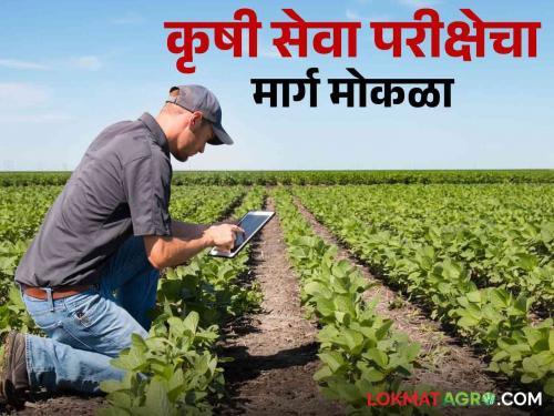 MPSC starts the process for the examination of Agricultural Service posts | कृषी सेवा पदांच्या परीक्षेसाठी एमपीएससीकडून प्रक्रिया सुरू