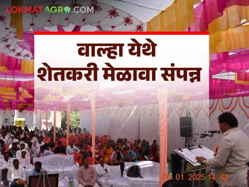 Farmers' meet held under special cotton project by KVK Badnapur | केव्हिके बदनापूरद्वारे विशेष कापुस प्रकल्प अंतर्गत शेतकरी मेळावा संपन्न