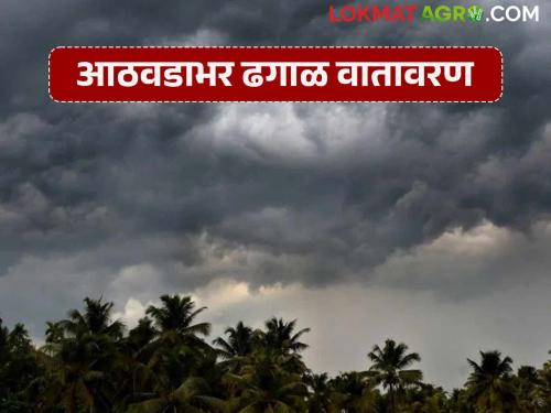 Temperatures likely to drop by another one or two degrees; cloudy weather throughout the week | तापमान आणखी एक किंवा दोन डिग्रीने खालावण्याची शक्यता; आठवडाभर ढगाळ वातावरण