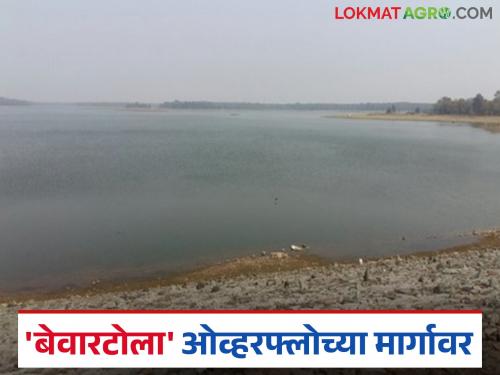 Bewartola project on the verge of overflow; Administration issues alert to villagers along the river | बेवारटोला प्रकल्प ओव्हरफ्लोच्या मार्गावर; प्रशासनाने नदीकाठच्या गावकऱ्यांना दिला सतर्कतेचा इशारा
