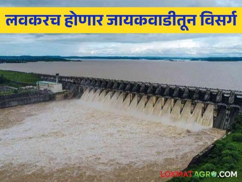 Jayakwadi Dam Water Release : Big news for Marathwada; The doors of Jayakwadi will open at any moment | Jayakwadi Dam Water Release : मराठवाड्यासाठी मोठी बातमी; कोणत्याही क्षणी उघडतील जायकवाडीचे दरवाजे