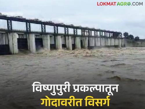Vishnupuri project filled to full capacity in four days; Warning issued to villages along the riverbanks as discharge begins | चारच दिवसात विष्णुपुरी प्रकल्प पूर्ण क्षमतेने भरला; विसर्ग सुरू केल्याने नदीकाठच्या गावांना सतर्कतेचा इशारा