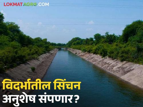 Irrigation backlog in Vidarbha to be cleared by 2027; Chief Secretary Sujata Saunik's affidavit in the High Court | विदर्भातील सिंचन अनुशेष २०२७ पर्यंत संपणार; मुख्य सचिव सुजाता सौनिक यांचे हायकोर्टात प्रतिज्ञापत्र