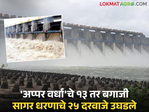 13 gates of Upper Wardha Dam and 25 gates of Bagaji Sagar Dam opened; Large discharge into Wardha river basin begins | अप्पर वर्धा धरणाची १३ तर बगाजी सागर धरणाचे २५ दरवाजे उघडले; वर्धा नदीपात्रात मोठा विसर्ग सुरू
