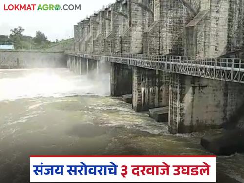 Water level of Waingange in Bhandara will rise again; 726 cusecs of water will be released from Gosikhurd project | भंडाऱ्यात वैनगंगेची पाणी पातळी पुन्हा वाढणार; गोसीखुर्द प्रकल्पातून ७२६ क्युसेक पाण्याचा विसर्ग सुरू