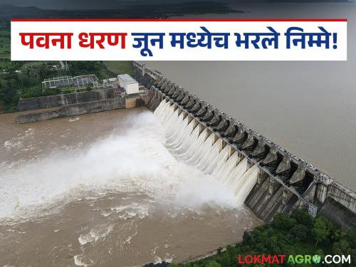 For the first time, Pawana Dam was half filled in June; Currently, the water storage in Pawana Dam is 51.34 percent | पहिल्यांदाच पवना धरण जून महिन्यात भरले निम्मे; आजमितीला पवना धरणात ५१.३४ टक्के पाणीसाठा
