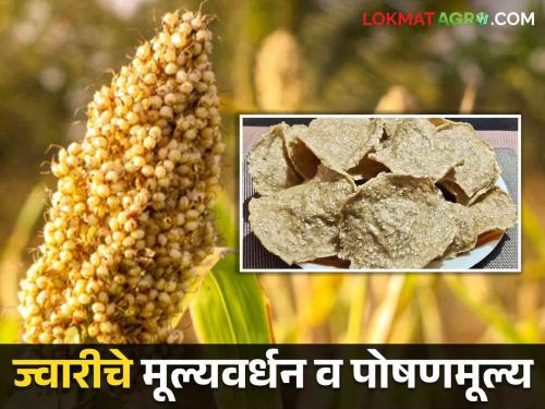 Get more profit by making sorghum by-products; Value addition and nutritional value of sorghum | ज्वारीचे उपपदार्थ करून मिळवा अधिकचा नफा; ज्वारीचे मूल्यवर्धन व पोषणमूल्य