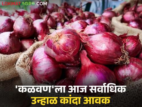Kanda Bazaar Bhav: Where is the highest onion price in the state? Read today's onion market price | Kanda Bajar Bhav : राज्यात कांद्याला उच्चांकी दर कुठे? वाचा आजचे कांदा बाजारभाव
