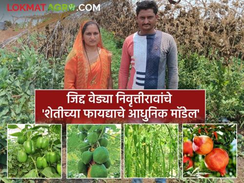 A D.Ed holder was fired by stubbornness and his loss-making farm became profitable; Read this inspiring story of Amode's Nivruttirao | जिद्दीला पेटला डी.एड धारक अन् तोट्याची शेती झाली फायद्याची; अमोदेच्या निवृत्तीरावांची वाचा 'ही' प्रेरणादायी कहाणी