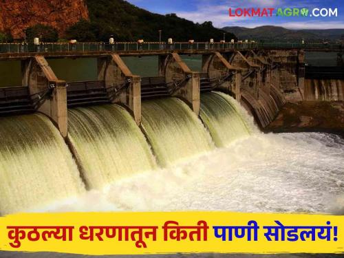 Latest news ighest water discharge from Gosekhurd dam in maharashtra check here details | Dam Water Discharged : पाणीच पाणी, राज्यातील 'या' धरणातून सर्वाधिक पाणी सोडलंय, वाचा सविस्तर 