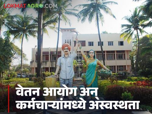 Employees of 'Ya' market committee in the state are upset over 'seventh salary'; Read what's the matter | 'सातव्या वेतन'वरून राज्यातील 'या' बाजार समितीचे कर्मचारी अस्वस्थ; वाचा काय आहे प्रकरण