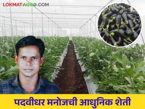 Success Story: Left the job and started farming; Mahesh's Successful Modern Farming | Success Story : नोकरीचा नाद सोडला अन् शेतीची कास धरली; मनोजची यशस्वी आधुनिक शेती