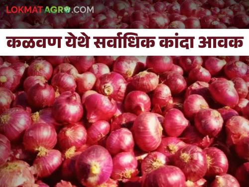 Onion Market Update: Highest onion arrival in Kalavan; Read what rates are available | Onion Market Update : कळवण येथे सर्वाधिक कांदा आवक; वाचा काय मिळतोय दर