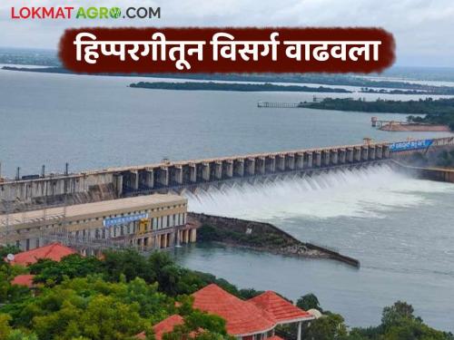 Panchganga river level drops to 39 feet, discharge from Hippargi increased; Orange alert still in place for Kolhapur residents | पंचगंगा नदीची पातळी ३९ फुटांपर्यंत खाली तर हिप्परगीतून विसर्ग वाढवला; कोल्हापूरकरांना आजही ऑरेंज अलर्ट