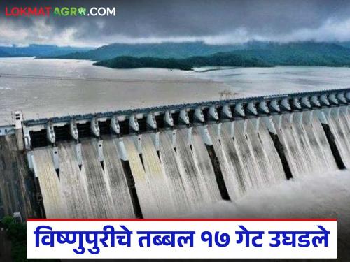 17 gates of Vishnupuri project opened for the first time after 19 years; Danger level exceeded | तब्बल १९ वर्षानंतर पहिल्यांदाच विष्णुपुरी प्रकल्पाचे १७ दरवाजे उघडले; धोका पातळी ओलांडली