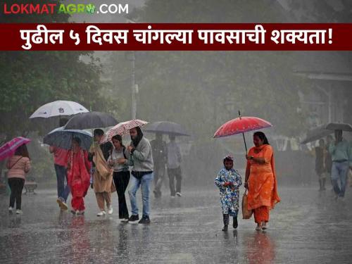 Maharashtra Rain : Monsoon accompanied by MJO wave! Chance of good rain for next 5 days!  | Maharashtra Rain : MJOची लाट म्हणून मान्सूनची साथ! पुढील ५ दिवस चांगल्या पावसाची शक्यता! 