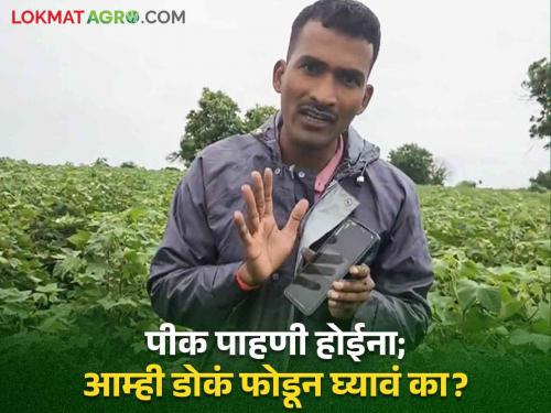 E-Pik Pahani In the farmer's field, E-Pik Pahani is 3 km long! Anger of beed farmers | E-Pik Pahani : शेतकरी शेतात, ई-पीक पाहणीचा मध्य ३ किमी लांब! बीडच्या शेतकऱ्यांचा संताप