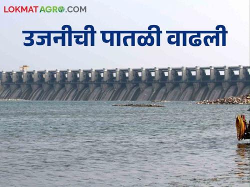 Ujani Dam Ujani increased by 8 percent, how much TMC water came | Ujani Dam उजनी ८ टक्क्यांनी वाढले, किती टीएमसी पाणी आले