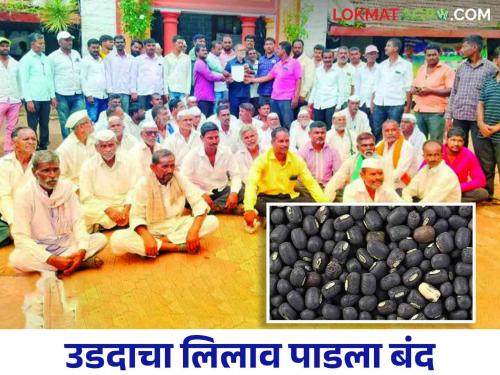 Udid Market: Due to lack price for Udid in Karmala, the farmers stopped the auction in market | Udid Market : करमाळ्यात उडदाला योग्य भाव मिळत नसल्याने शेतकऱ्यांनी लिलाव बंद पाडला