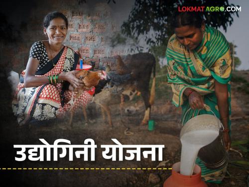 Interest-free loans up to three lakhs for women for agricultural allied businesses, how to apply | शेती आधारित या व्यवसायांसाठी महिलांना तीन लाखांपर्यंत बिनव्याजी कर्ज, कसा कराल अर्ज