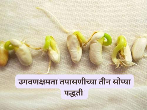Latest news biyane test Check germination at home with these three simple methods, read in detail | Seed Germination Test : 'या' तीन सोप्या पद्धतींनी घरच्या घरी करा उगवणक्षमता तपासणी