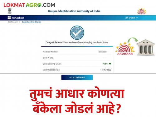 Is your Aadhaar linked with your bank account or not? now check on your mobile Read in detail | तुमचं आधार बँक खात्यासोबत लिंक आहे की नाही? हे कळेल आता तुमच्या मोबाईलवर वाचा सविस्तर