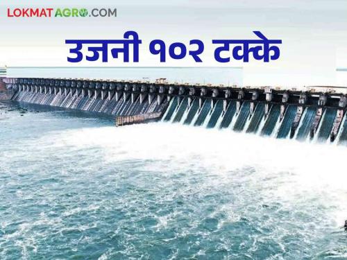 Ujani Dam Water Level: Massive increase in the flow of water entering the Ujani Dam & water release in bhima river | Ujani Dam Water Level: उजनी धरणात मिसळणाऱ्या दौंड विसर्गात मोठ्या प्रमाणात वाढ.. भीमेत सव्वा लाखाचा विसर्ग