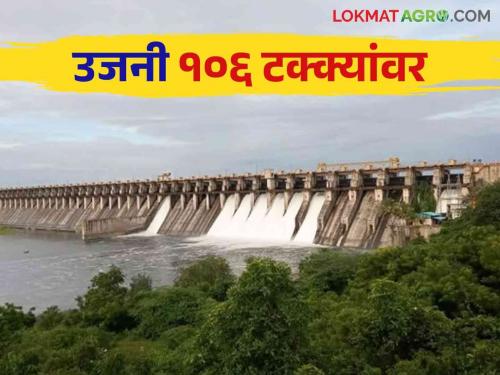 Ujani Dam Water Level: 10,000 cusecs will continue to be released in the Bhima river basin to keep the water level of Ujani stable | Ujani Dam Water Level : उजनीची पाणीपातळी स्थिर ठेवण्यासाठी भीमा नदीपात्रात १० हजार क्युसेक विसर्ग कायम