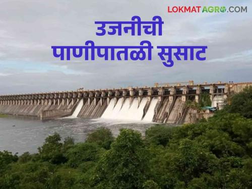 Ujani Dam Water Level: Five dams in Bhima valley overflow, Ujani soon in plus | Ujani Dam Water Level: भीमा खोऱ्यातील पाच धरणे ओव्हर फ्लो, उजनी लवकरच प्लसमध्ये