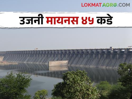 Ujani Dam At Ujani minus 52 percent, 99 percent of the scheme will be closed | Ujani Dam उजनी मायनस ५२ टक्क्यांवर, ९९ टक्के योजना बंद पडणार