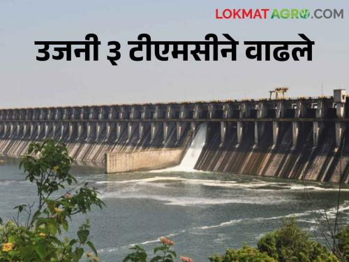 Ujani Dam Ujani up by 5 percent..hope to turn plus soon | Ujani Dam उजनी ५ टक्क्याने वाढली.. लवकरच प्लसमध्ये येण्याची आशा