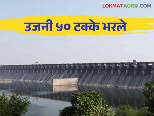 Ujani Dam Water Level: How much more TMC of water is needed to fill Ujani dam | Ujani Dam Water Level: उजनी धरण भरण्यासाठी अजून किती टीएमसीची पाण्याची गरज