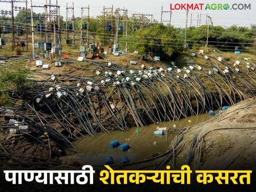 Ujani Dam Water : The water level of Ujani Dam has dropped; water is being pumped out by digging ditches. | Ujani Dam Water : उजनी धरणाची पाणी पातळी खालावली; चारी खोदून केला जातोय पाणी उपसा