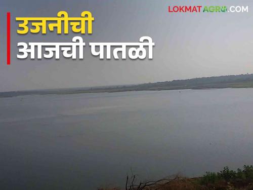 Ujani Dam: Decrease in ujani-daund discharge; How much water in the dam? | Ujani Dam: उजनी-दौंड विसर्गात घट; धरणात किती पाणी?