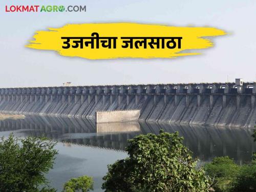 Ujani Dam: As much water as last month in Ujani Dam; Know today's water level | Ujani Dam: उजनी धरणात मागील महिन्यात आलं इतकं पाणी; जाणून घ्या आजची पाणीपातळी