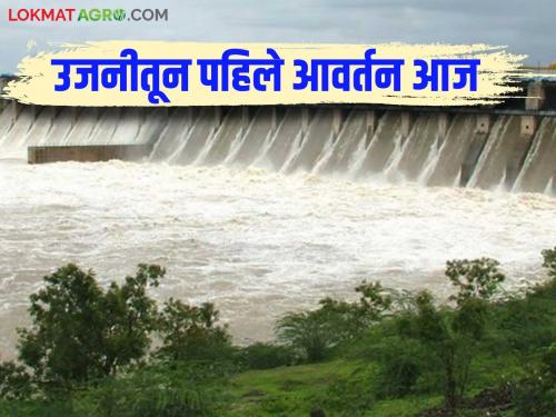 Ujani Dam Water : Planning to provide water three times from Ujani Dam; First cycle today | Ujani Dam Water : उजनीतून तीनवेळा पाणी देण्याचे नियोजन; आज पहिले आवर्तन