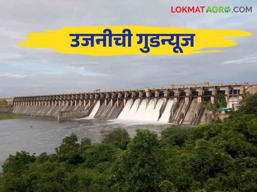 Ujani Dam Update: The good news of Ujani Dam will be in Plus today, read in detail | Ujani Dam Update: उजनीची खुशखबर धरण आज प्लसमध्ये येणार वाचा सविस्तर