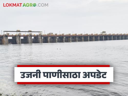Water level of Ujani Dam continues to rise; How much water is currently stored in the dam? | उजनी धरणाच्या पाणी पातळीत सातत्याने वाढ; आजमितीला धरणात किती पाणीसाठा?
