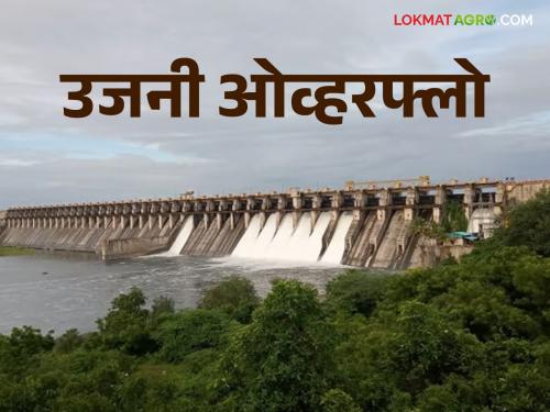 Ujani Dam Water Level: Sixteen gates of Ujani Dam were opened 100 percent in ten days | Ujani Dam Water Level: दहा दिवसात उजनी भरले शंभर टक्के धरणाचे सोळा दरवाजे उघडले