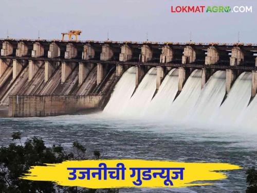 Ujani Dam Water Level: Ujani Dam will soon be in plus | Ujani Dam Water Level: उजनी धरण लवकरच प्लसमध्ये येणार